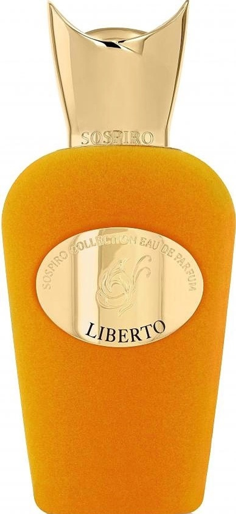 Sospiro Libreto