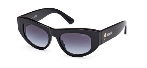 Солнцезащитные очки Emilio Pucci EP 0228 01W