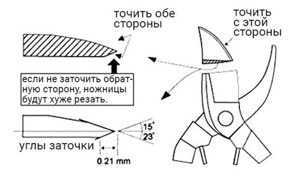 Ревизия садового инструмента: готовим секаторы и сучкорезы к сезону обрезки и прививки