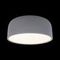 Потолочный светодиодный светильник Loft IT Axel 10201/350 Grey