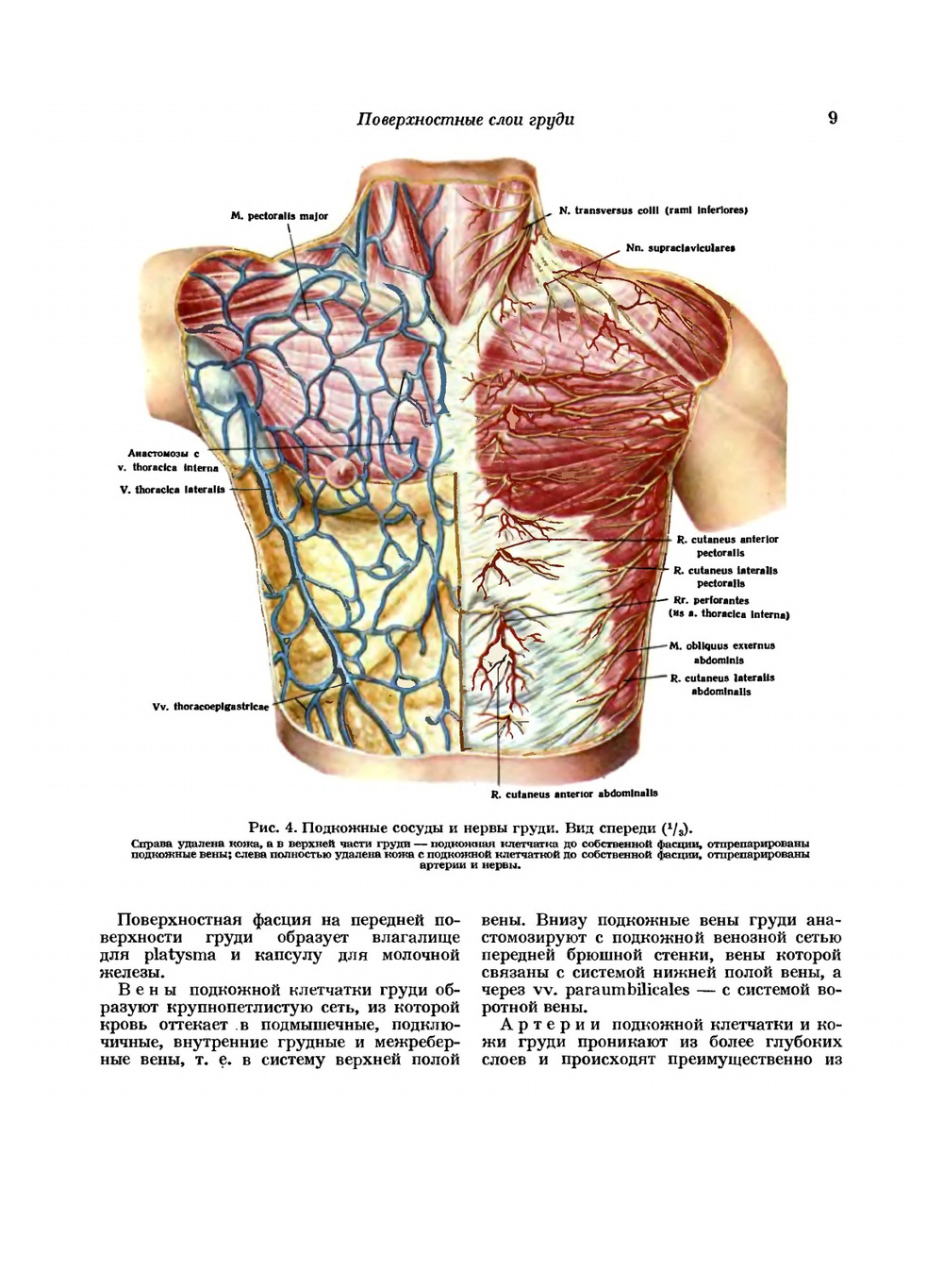 Атлас топографической анатомии человека. Том 2. Грудь, живот, таз | Ю.Л. Золотко