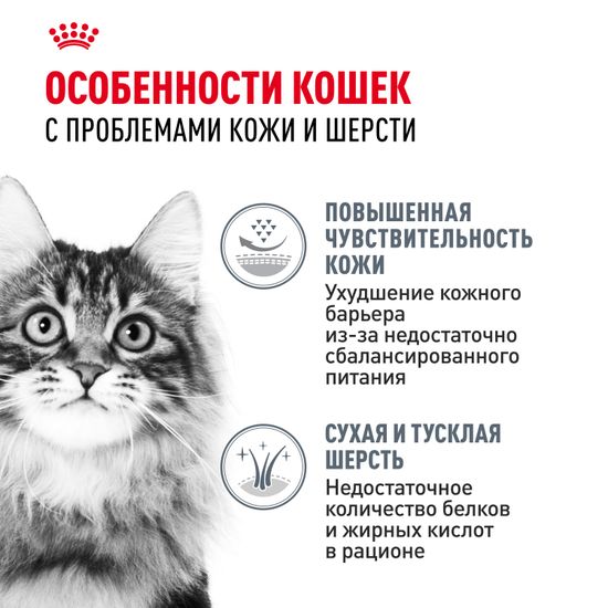 Royal Canin Hair & Skin Care корм для взрослых кошек и котов, обеспечивающий здоровье кожи, красоту и блеск шерсти через 21 день