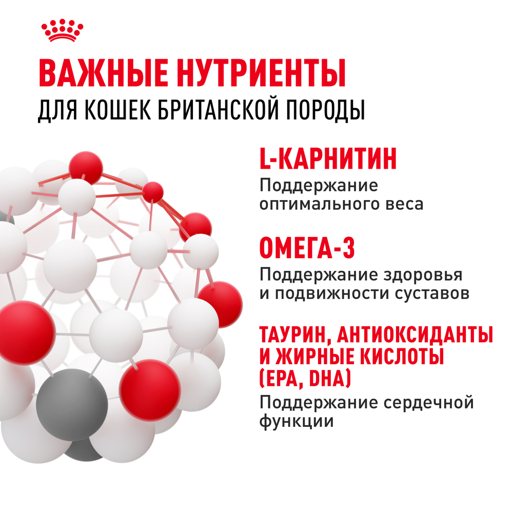 Сухой корм Royal Canin British Shorthair Adult для взрослых британских короткошерстных кошек 10кг