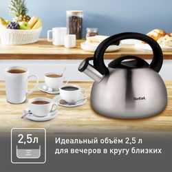 Чайник для плиты Tefal 2,5 л C7921024