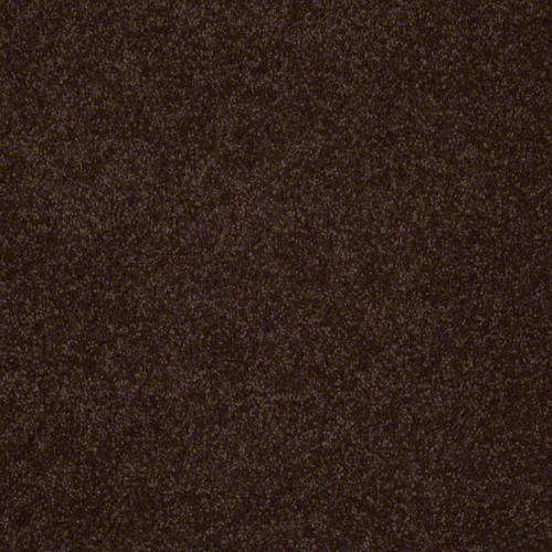 Ковровое покрытие Shaw Floors See the World III 702