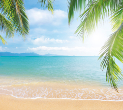 Коллекция Морской пейзаж