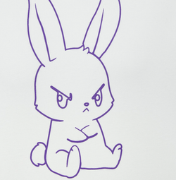 Спортивный костюм Angry bunny