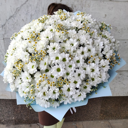 Букет с 25 хризантемами сорта "KENNEDY WHITE" и ромашками