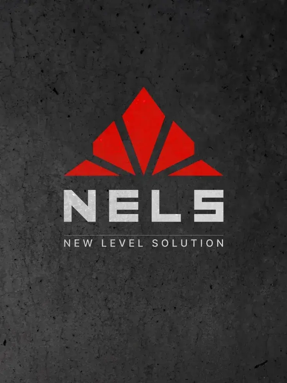 Отбеливатель для древесины NELS WHITE LIGHT / отбеливающий антисептик для внутренних и наружных работ / готовый состав / 5 л
