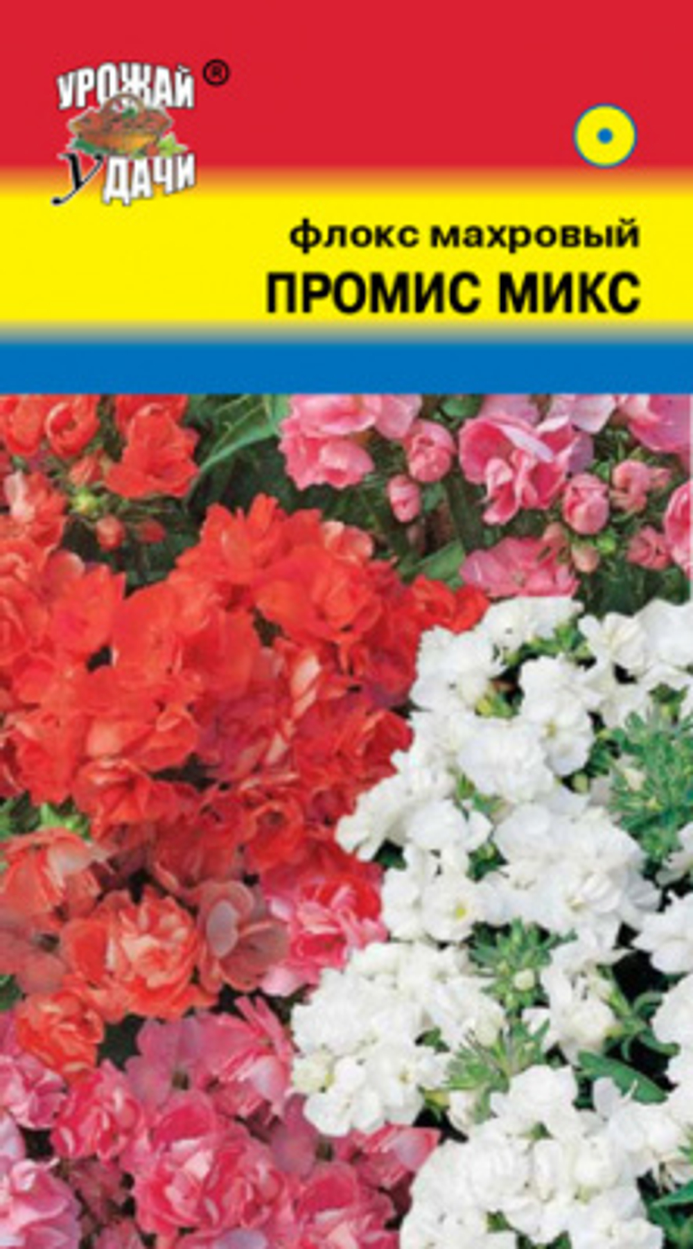 Флокс Промис микс 5шт Ц УУ