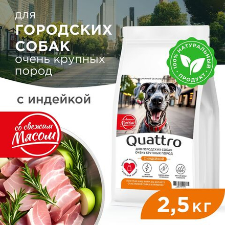 Корм сухой для взрослых собак очень крупных пород, премиум полнорационный комплекс, для городских собак, с индейкой, 2,5 кг, QUATTRO