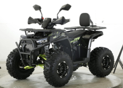 Квадроцикл бензиновый MOTAX GRIZLIK D125 LUX (3+1)