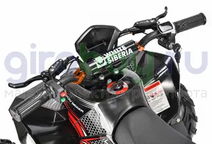 Электроквадроцикл WHITE SIBERIA SNEG R 1500w (48V/12Ah 0.15) 0.2 фото 23 фото №25