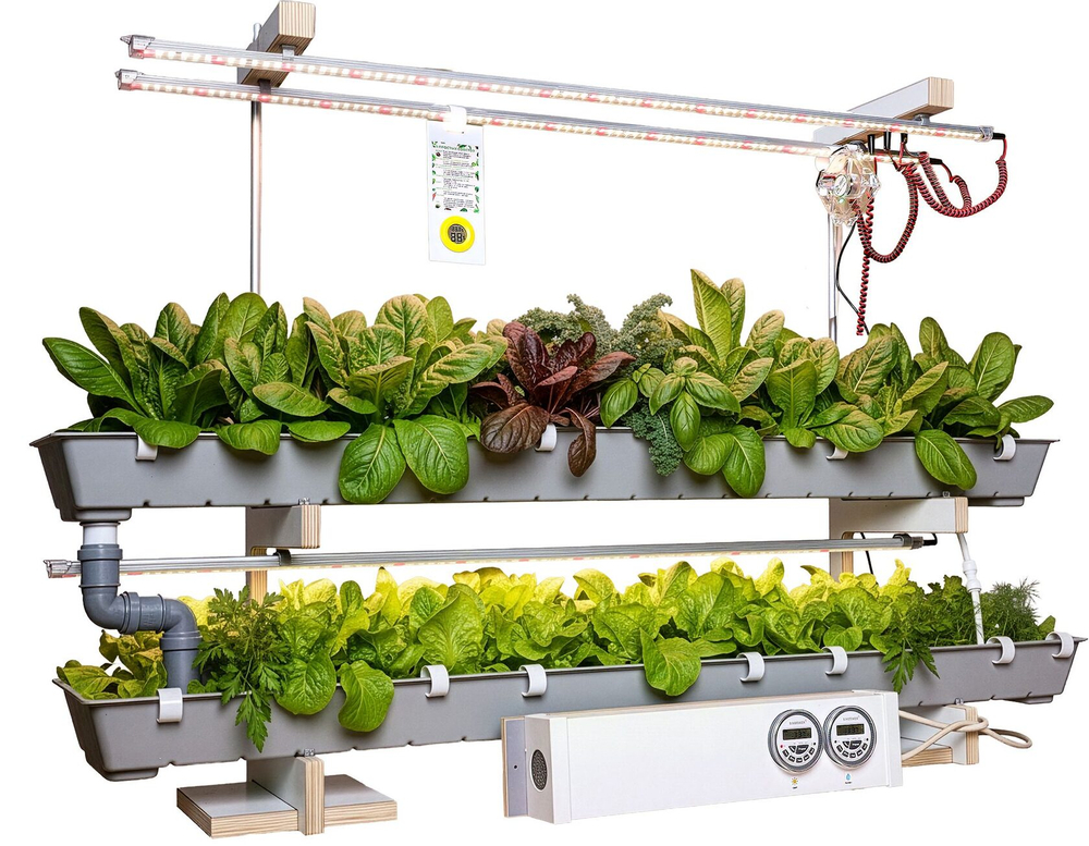 КЛО «От зародыша до взрослого растения (организма)» с принадлежностями