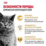 Royal Canin British Shorthair Adult Корм сухой для взрослых британских кошек 0,4кг
