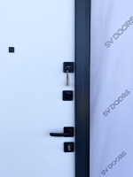 Дверь входная Вена