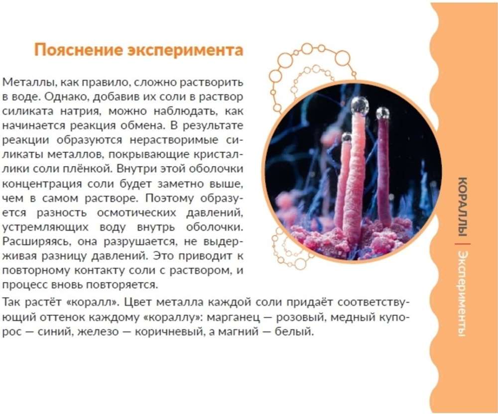 Набор для опытов и экспериментов «Лаборатория кораллов»