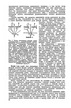 Палеонтология позвоночных | А.Ш. Ромер