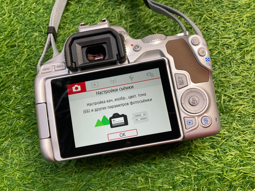 Canon 250D Белый + 18-55mm IS STM 730 кадров
