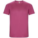 Мужская спортивная футболка Imola с коротким рукавом