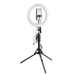 Светодиодный осветитель Falcon Eyes BloggerKit 20 mic