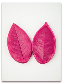 Лист розы XL