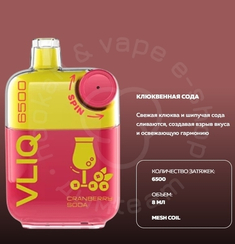 Электронная система доставки никотина VLIQ Q SPIN 6500 затяжек со вкусом «Клюквенная сода» (M)