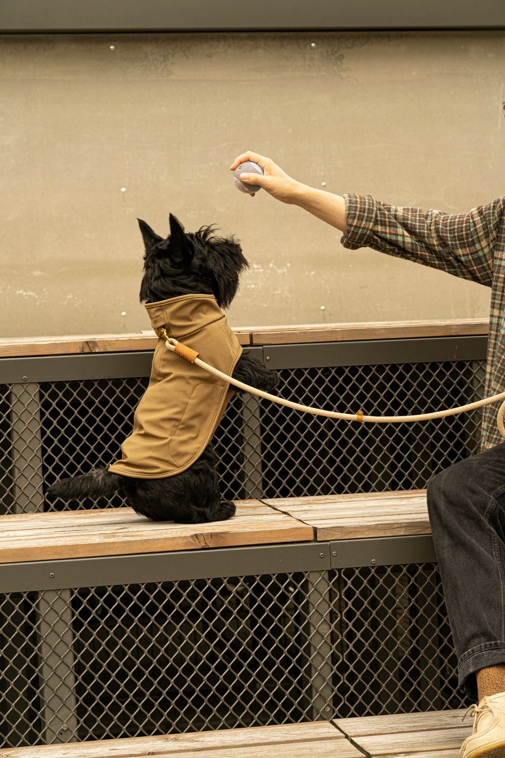 Попона "Пони-попони" песочная