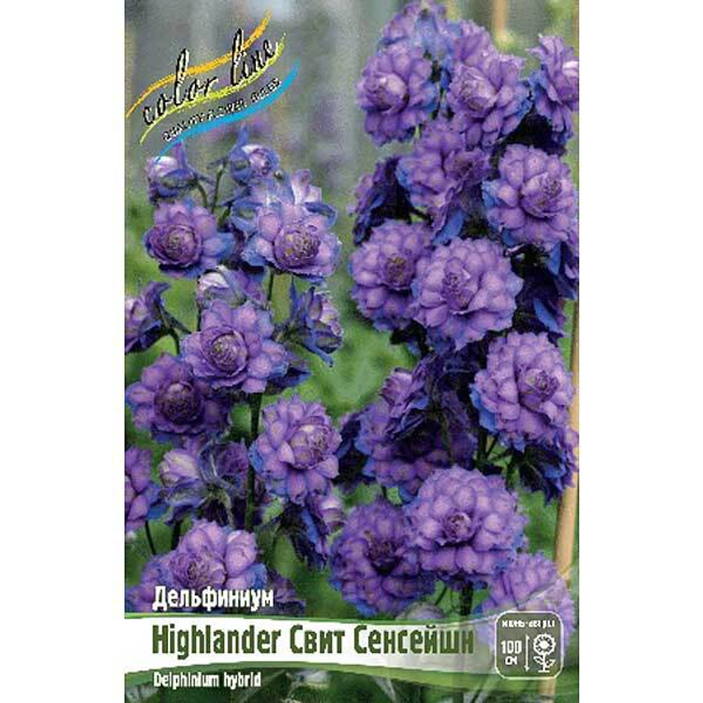 Дельфиниум Highlander Свит Сенсейшн