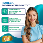 Концентрат Ежовик гребенчатый, 60 капсул