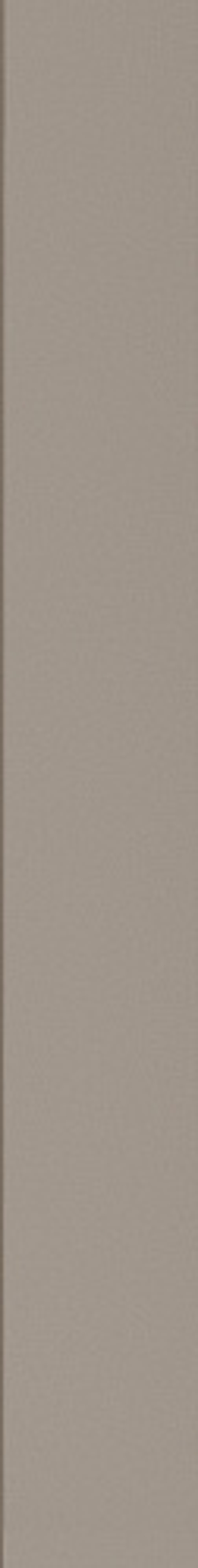 Керамическая плитка для стен WOW FACES Liso Grey 5х40