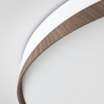 Потолочный светодиодный светильник Citilux BONNY CL754450G