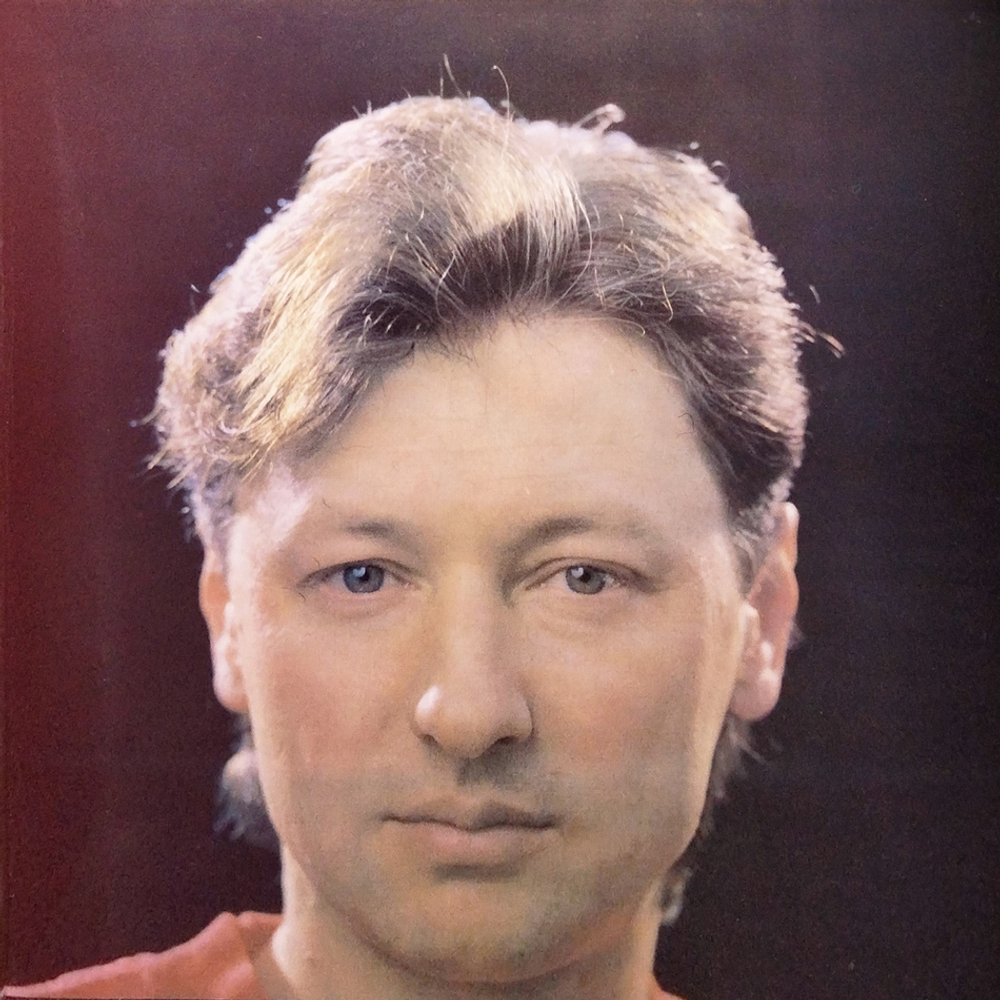 Андрей Никольский / Хулиган С Покровки (LP)