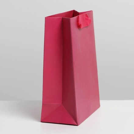 Пакет подарочный ламинированный, упаковка, «Фуксия», S 12 х 15 х 5.5 см