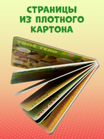 Книжка с окошками. Тело человека