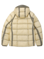 Мужской Пуховик In Dd-shell