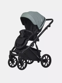 Коляска MONTANA ECCO (2 в 1) (RIKO BASIC)