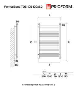 FORMA Bone 100x50 (см) Полотенцесушитель водяной