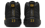 Кроссовки Jordan Air Jordan 12 Retro "Black Taxi"