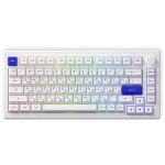 AKKO MOD007B PC Blue&White 3 Modes RGB Hot Swap  Akko V3 Piano Pro Switch,ASA profile keycap