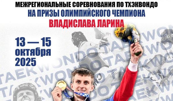 Межрегиональные спортивные соревнования по тхэквондо ВТ на призы Олимпийского чемпиона Владислава Ларина (ЕКП 2047100023044254)