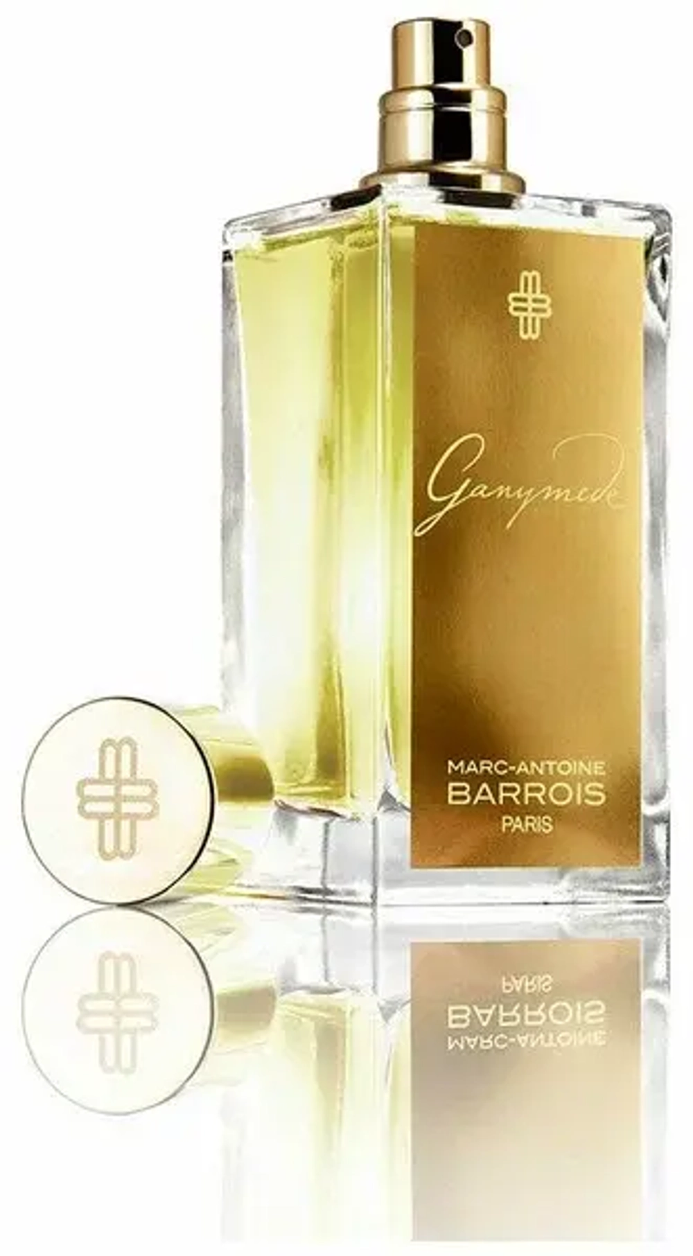 Ganymede Marc-Antoine Barrois