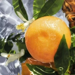 Guerlain Aqua Allegoria Pamplelune EDT