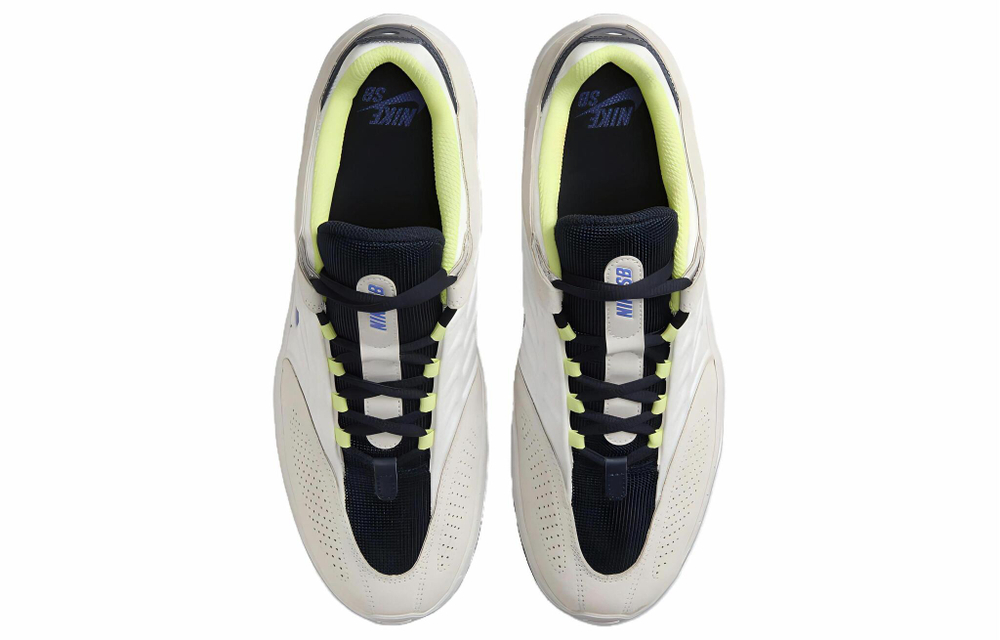 Кроссовки Nike Sb Vertebrae