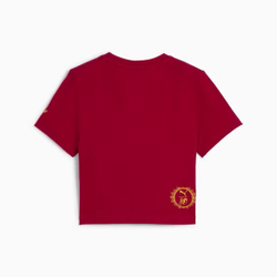 PUMA X HARRY POTTER ФУТБОЛКА, КРАСНЫЙ