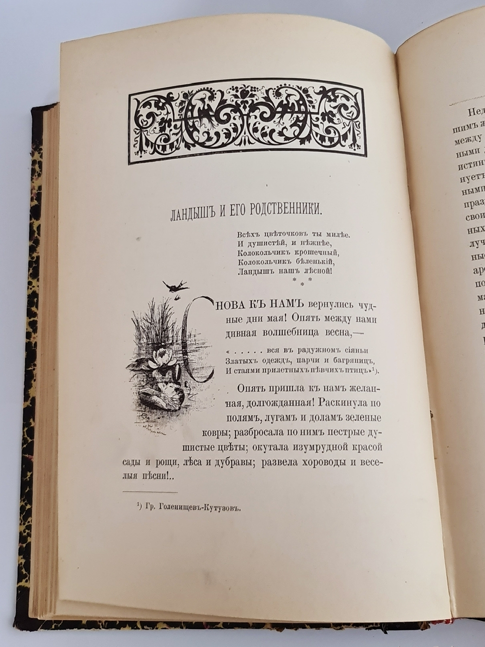 "Из зеленого царства. Популярные очерки из мира растений". Д.Н.Кайгородов. 1902г. - антикварное издание