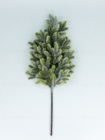 Ветка пихты