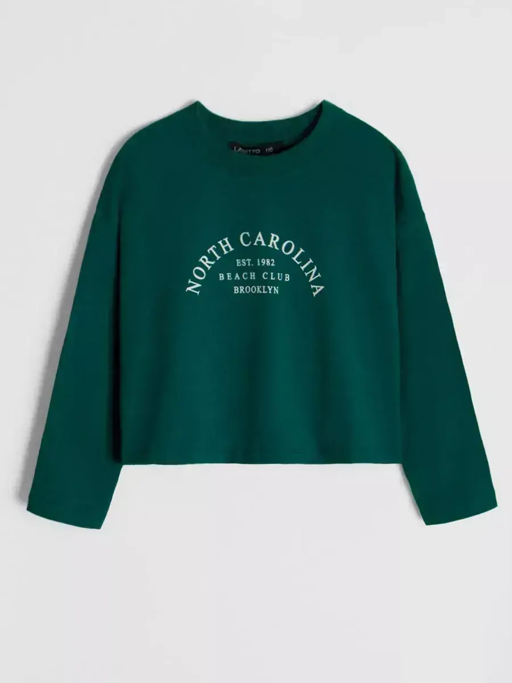 Лонгслив детский трикотажный демисезонный