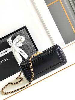 Chanel Bag 20 cm