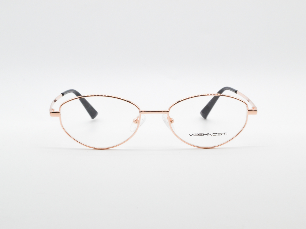 Изг. оправы VECHNOSTI F93122 C9